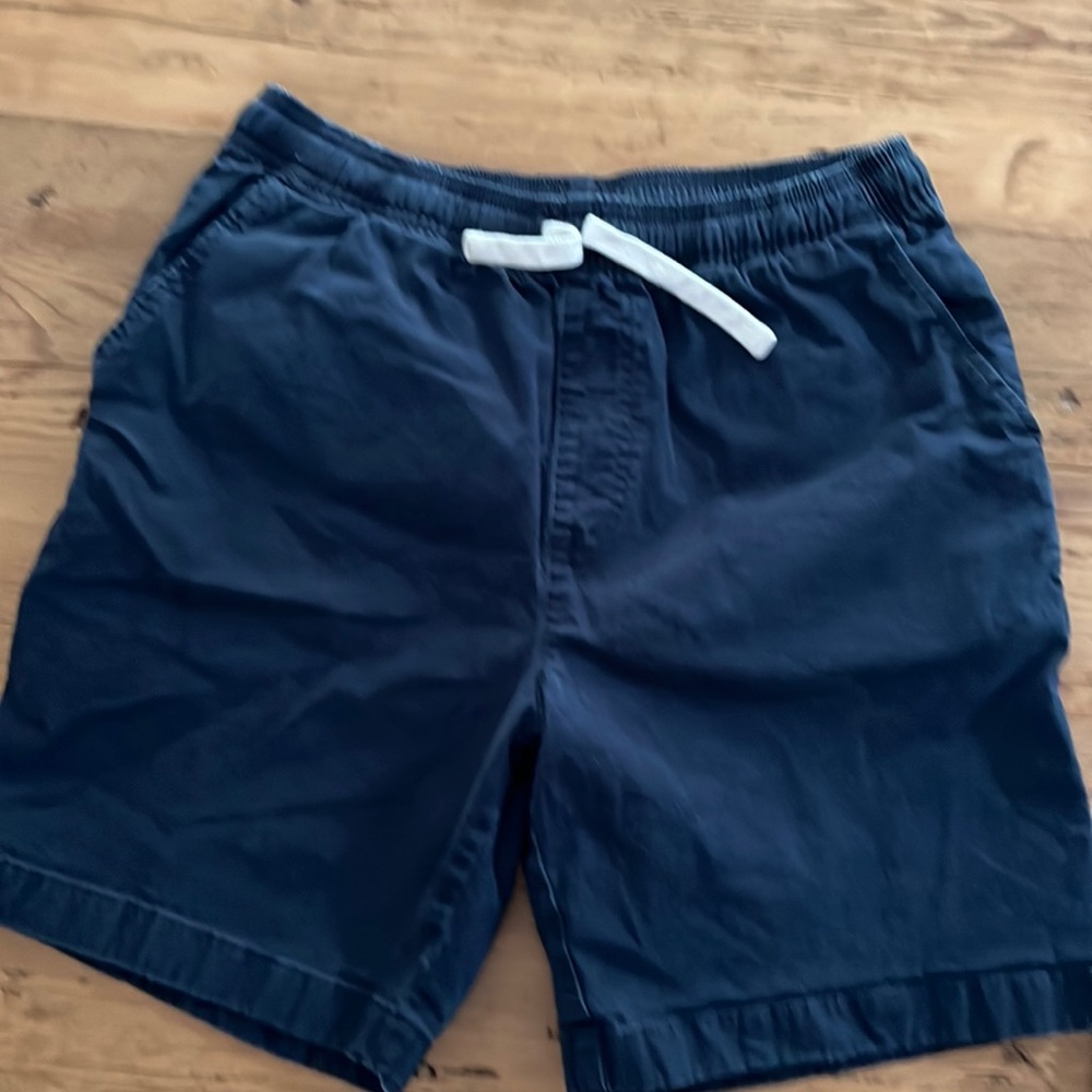 Chubbies Navy Blue Shorts